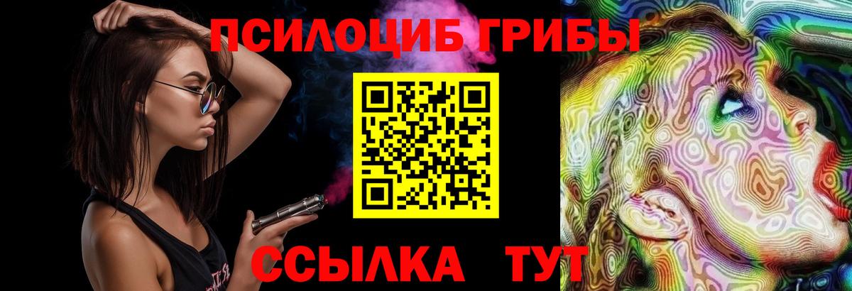 Галлюциногенные грибы Psilocybe  Вход с VPN  Кимры 